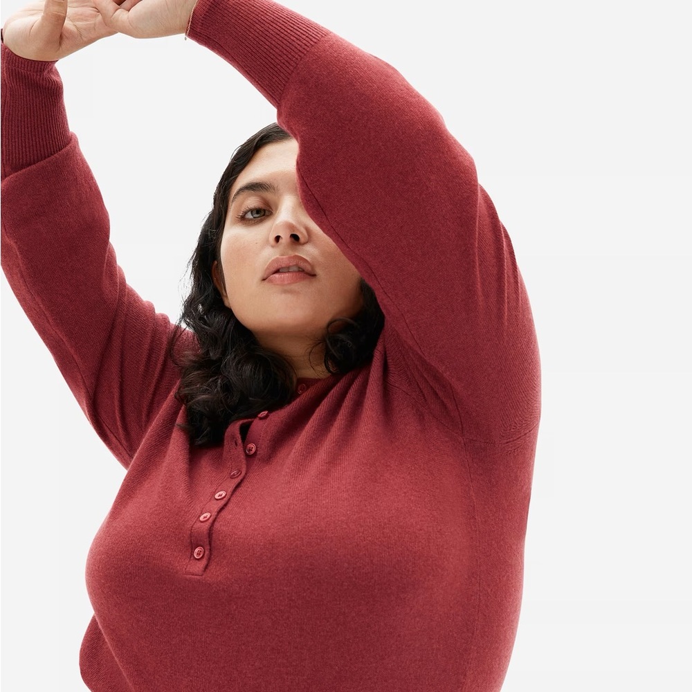 Cashmere Henley everlane sweater